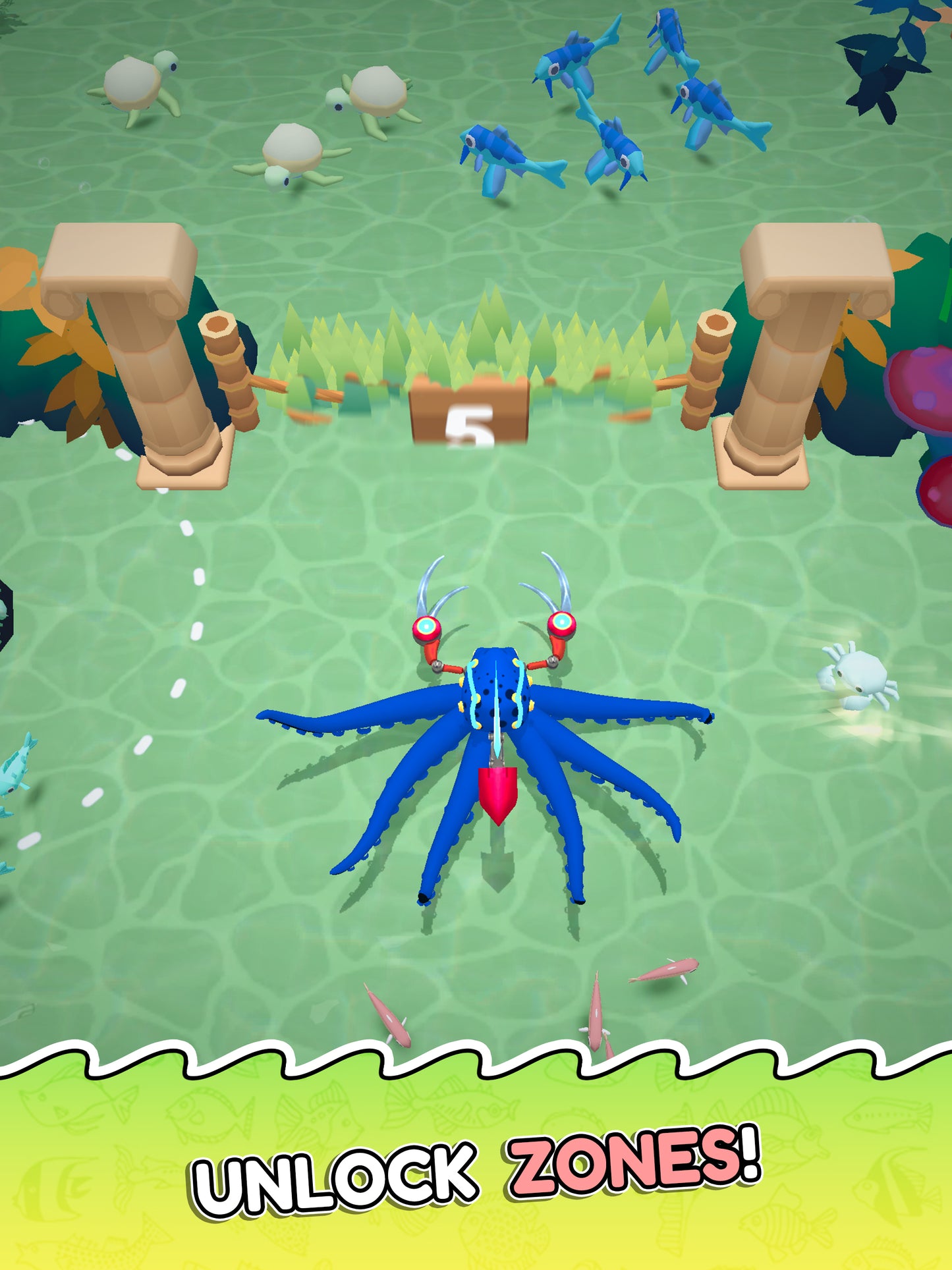 Octopus Invasion