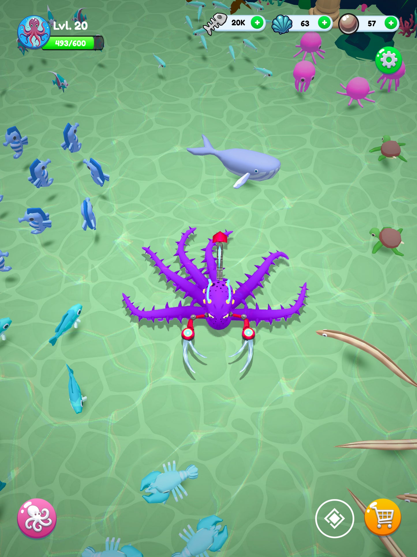 Octopus Invasion